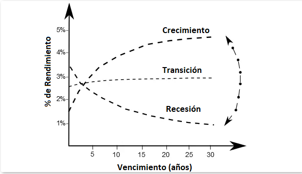 Curvas de rendimiento y fases de la economía