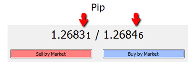 Pips y lotes en el FX