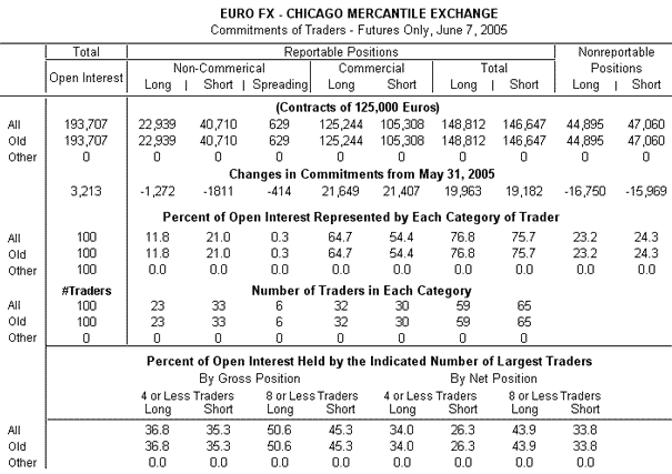 Ejemplo reporte COT 2005
