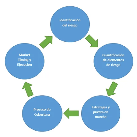 Gestión de riesgo Forex