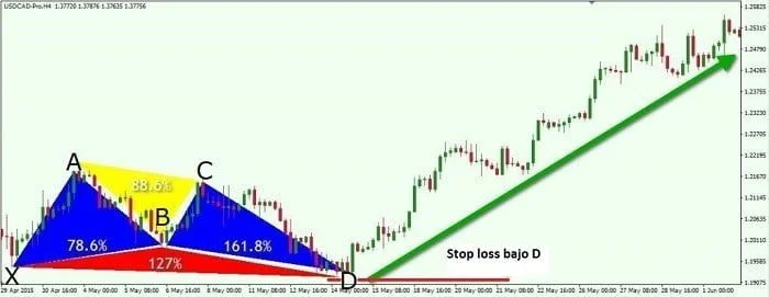 patron Butterfly stop loss