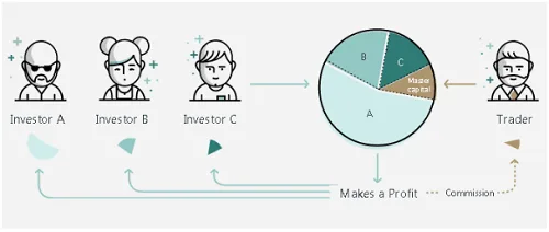 Reseña de EXNess 2026 - Broker de Forex y CFD 6 Plataforma de copytrading de EXNess