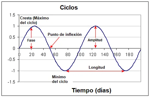 Ciclos del mercado