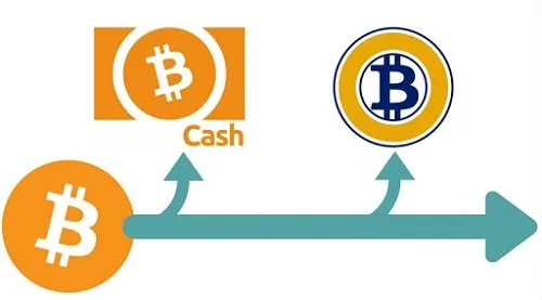 Las bifurcaciones de criptomonedas