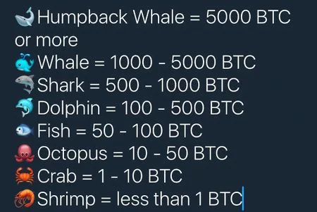 Las Ballenas de Bitcoin y Otras Criptomonedas - Definición y Efectos 11 Ballenas de Bitcoin