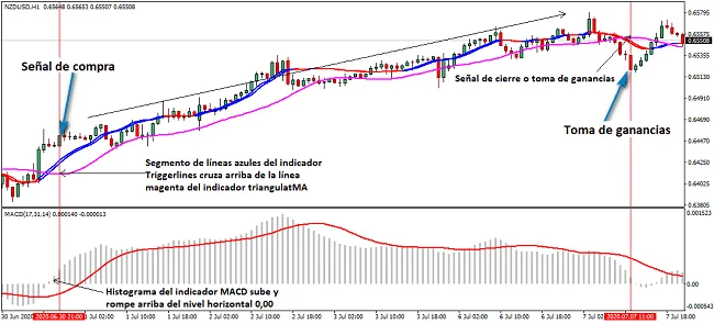 Estrategia de Swing Trading Para el NZD/USD en Gráficos de 1 Hora 1 Ejemplo de señal de compra con sistema de swing trading