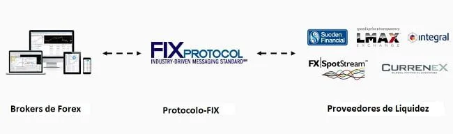 ¿Cómo identificar un verdadero Broker de Forex ECN/STP en MT4? 2 Como funcionan los brokers ECN/STP