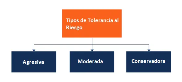 Tipos de tolerancia al riesgo