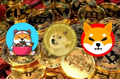 ¿Qué son las memecoins? 18 ¿Que son las memecoins?