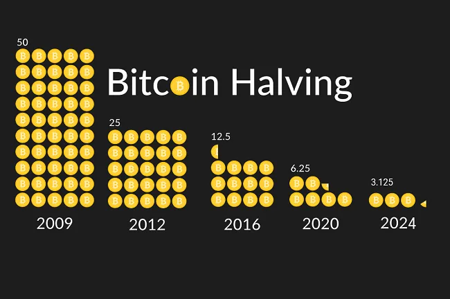 ¿Qué es el Halving de Bitcoin? 7 Halving de Bitcoin