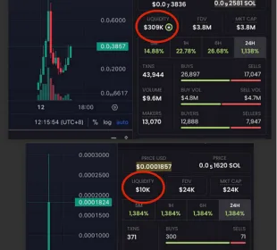 Identifica el próximo memecoin 100x: ¿Qué debes buscar? 1 Ejemplo de Dexscreener: LP quemados