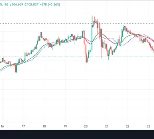 Media Móvil REMA en TradingView
