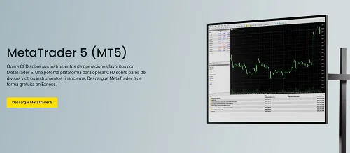 mt5