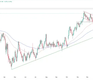 ¿Porque el Yen Sigue Cayendo a Pesar del Alza en las Tasas de Interés del BoJ? 17 Gráfico diario del USD/JPY