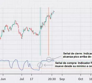 Ejemplo de indicador PFE