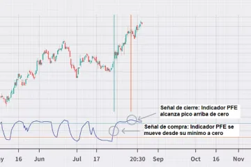 Ejemplo de indicador PFE