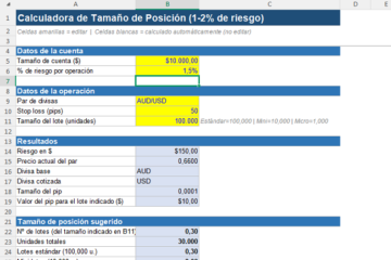Calculadora de tamaño de posición