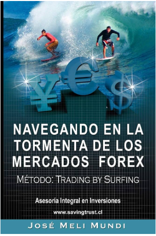 Los Mejores Libros de Trading Recomendados 8 navegando en tormenta mercado